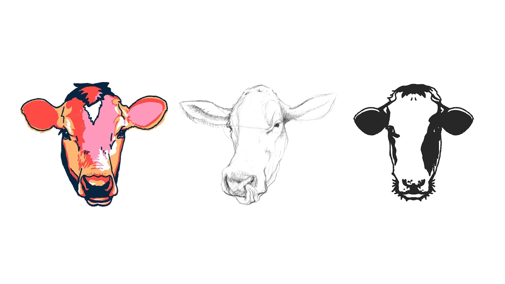Don Rene label process showing pencil sketches, navy front-and-back mockups, pastoral imagery, and three cow illustration styles