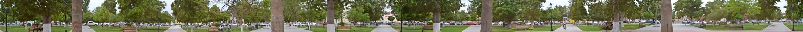 360-degree panoramic photograph of a park plaza with tall palm trees, paved walkways, benches, and green grass under an overcast sky